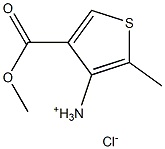 4-氨基-5-甲基噻吩-3-羧酸甲酯盐酸盐